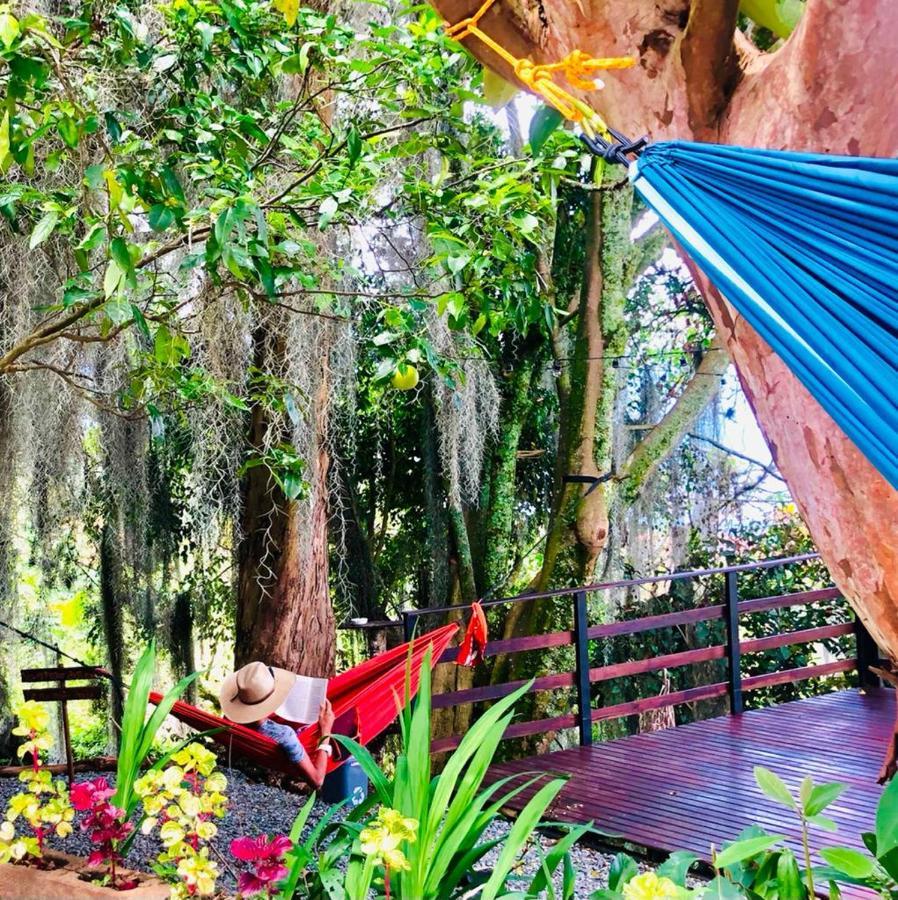 Eco Hostal Casa La Juana Bed and Breakfast Medellín Exteriör bild