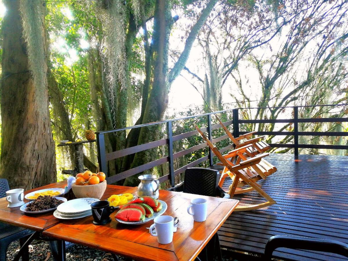 Eco Hostal Casa La Juana Bed and Breakfast Medellín Exteriör bild