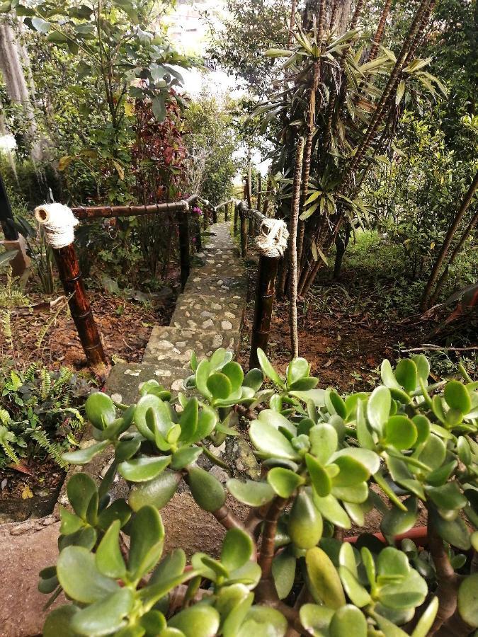Eco Hostal Casa La Juana Bed and Breakfast Medellín Exteriör bild