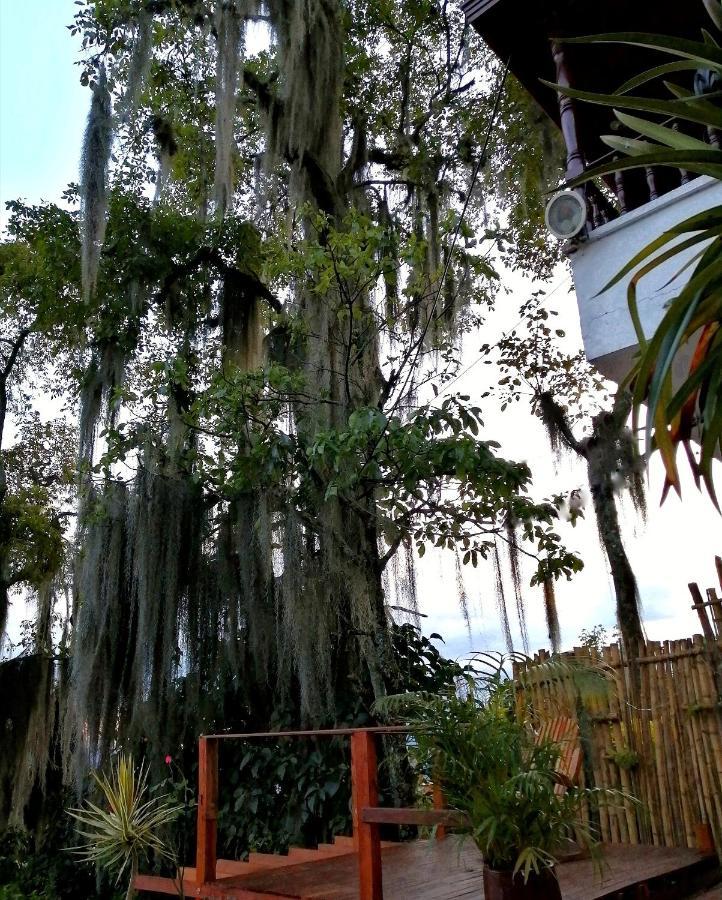 Eco Hostal Casa La Juana Bed and Breakfast Medellín Exteriör bild