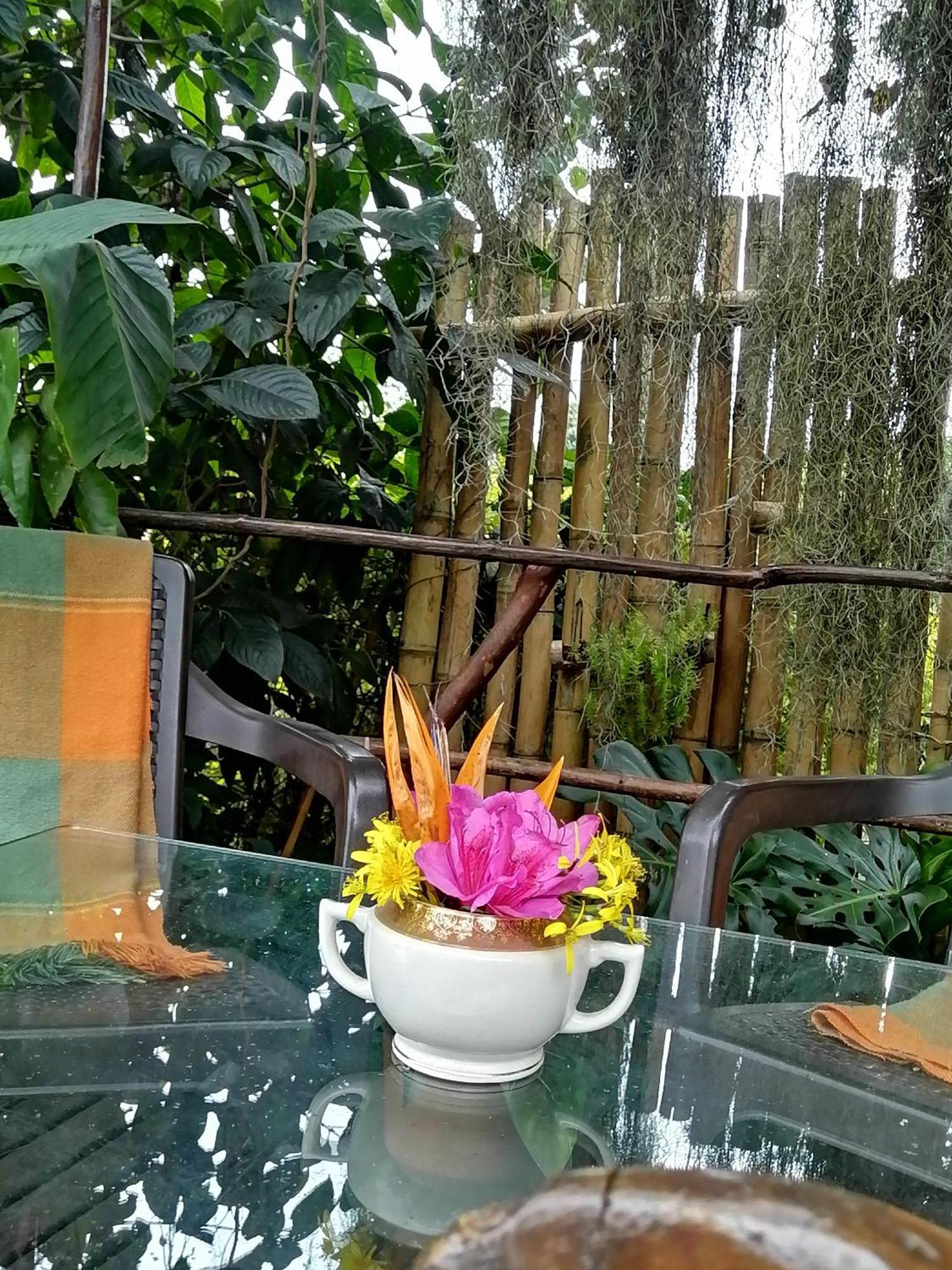 Eco Hostal Casa La Juana Bed and Breakfast Medellín Exteriör bild