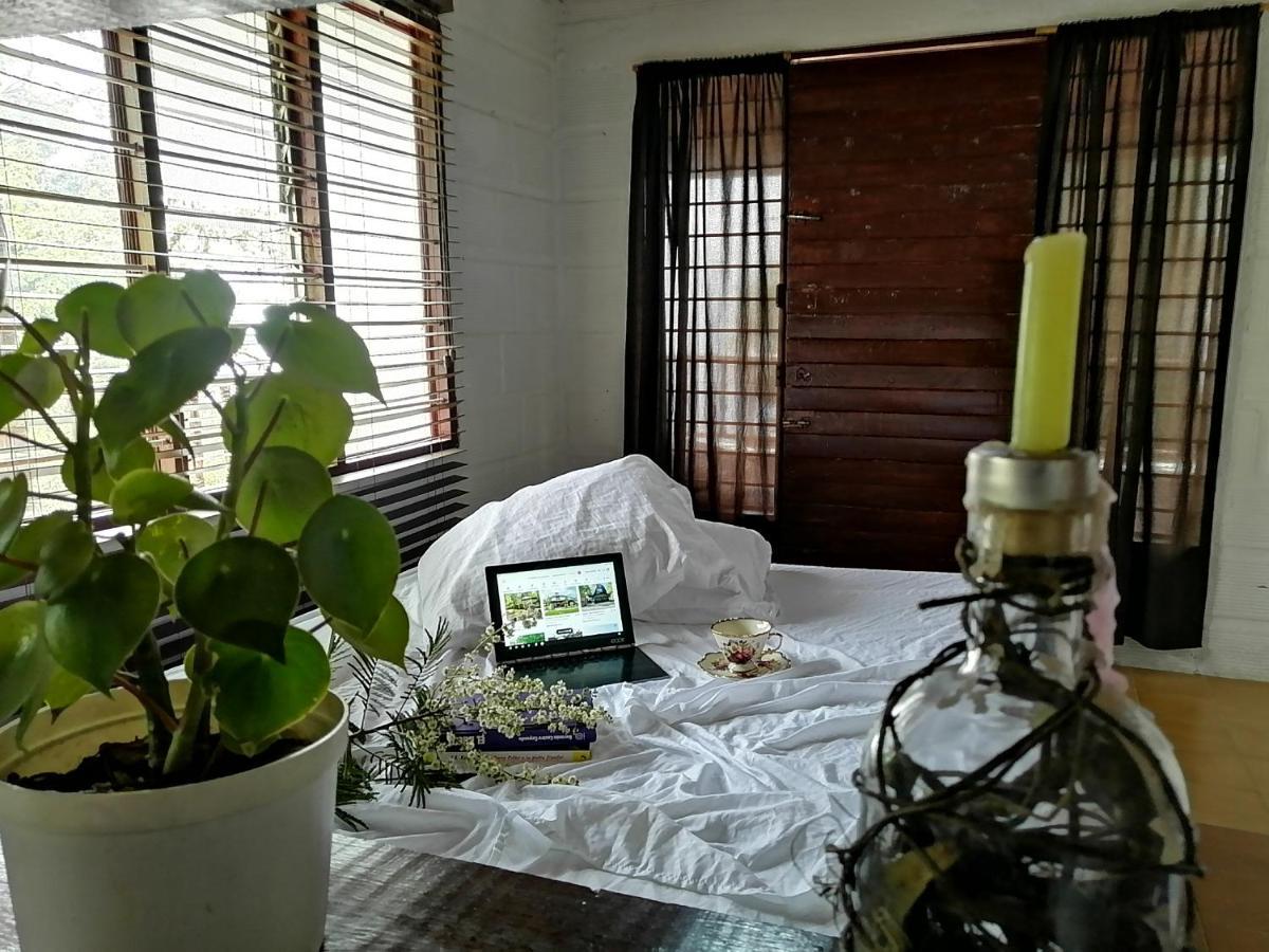 Eco Hostal Casa La Juana Bed and Breakfast Medellín Exteriör bild